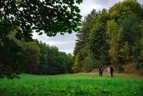 Miško Takas 62. Pakuonis – Vaišvydava.