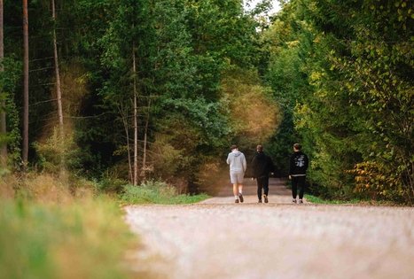 Miško Takas 62. Pakuonis – Vaišvydava.