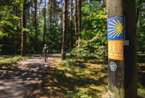 Miško Takas 60. Birštonas – Alksniakiemis.