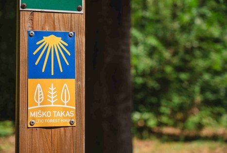 Miško Takas 60. Birštonas – Alksniakiemis.