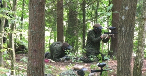 Pramoginis dažasvaidis 