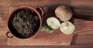 Kanapių spirgynė „Bernelių užeigoje“