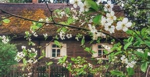 Kleboniškių kaimo buities muziejus