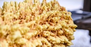 „L. Sadauskienės šakočiai“