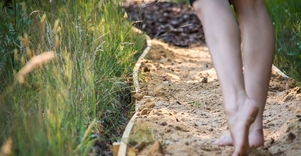 Basakojų takas Survilų kaimo turizmo sodyboje