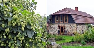 Arbatų degustacijos sodyboje „Apynių namai“