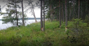 Alionių telmologinis draustinis