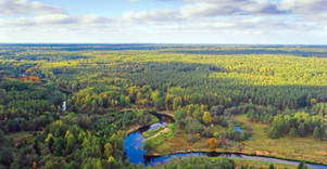 Anykščių šilelis 