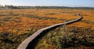 Aukštumalos pažintinis takas