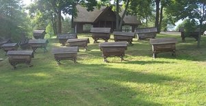 Kvietimas atrasti taikias bites