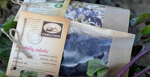 Pociūnėlių miestelio bendruomenė