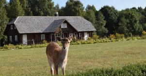 Elnių ir danielių aptvarai sodyboje „Auksinio elnio dvaras“