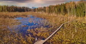 Dubravos rezervatinė apyrubė