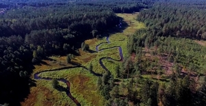 Dzūkijos nacionalinis parkas