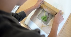 Edukacija „Žymės“