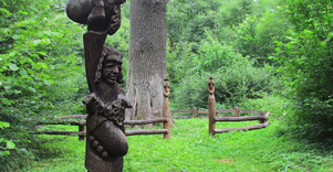 Didysis Gojaus ąžuolas