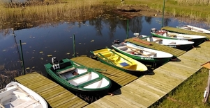 Valtis su benzininiu varikliu