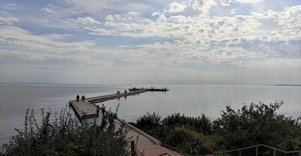 Ventės Rago ornitologinė stotis