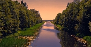 Karaliaus Vilhelmo kanalas