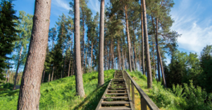 Kertuojų piliakalnis