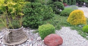 Klaipėdos universiteto botanikos sodas