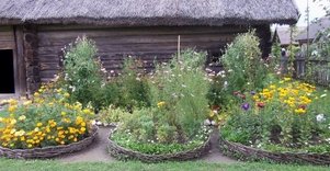 Lietuvos etnografijos muziejus