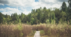 Meironų gamtos takas