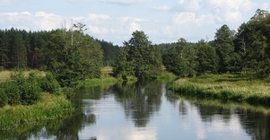 Merkio ichtiologinis draustinis