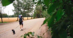 Miško Takas 68. Padubysys – Ariogala – Kirkšnovė.