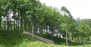 Molavėnų piliakalnis