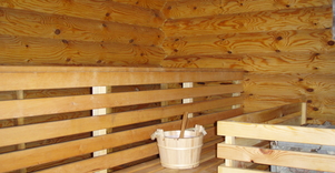 Pirtelė miško apsupty