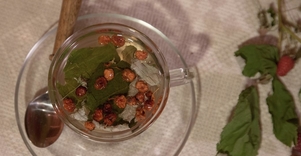 Žolelių arbata pas Almirą Didžiokienę