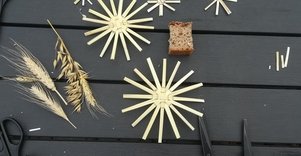 „Rugio šiaudo spindesio edukacija“