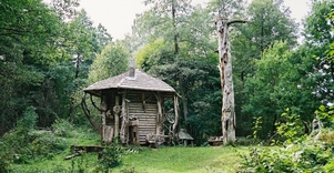 Rašytojo A. Matučio drevė