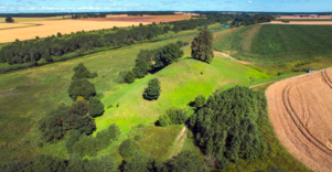 Rekčių piliakalnis