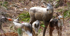 Šaudymas iš lankų ir arbaletų