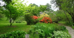 Dendrologinis sodas „Sauleskalni“ / „Saulės kalnai“