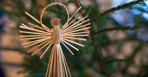 Pynimo edukacinė programa