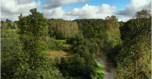 Širvintos kraštovaizdžio draustinis