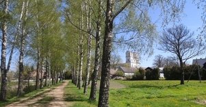 Vinco Kudirkos muziejus