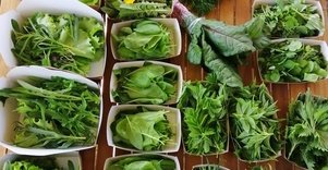 Ekologinis-biodinaminis ūkis „Miško sodai“