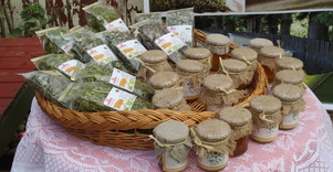 Ūkis „Turaidas“ 