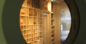 Vidos Žilinskienės „Jūrų muziejus“