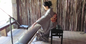 Vilniaus universiteto botanikos sodas