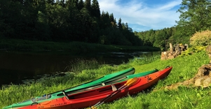 Baidarių nuoma Dubysoje 