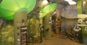 „Žemaitijos žemės slėpiniai“