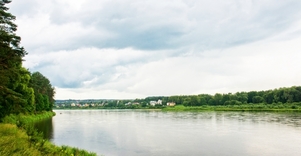 Žvėrinčiaus miškas